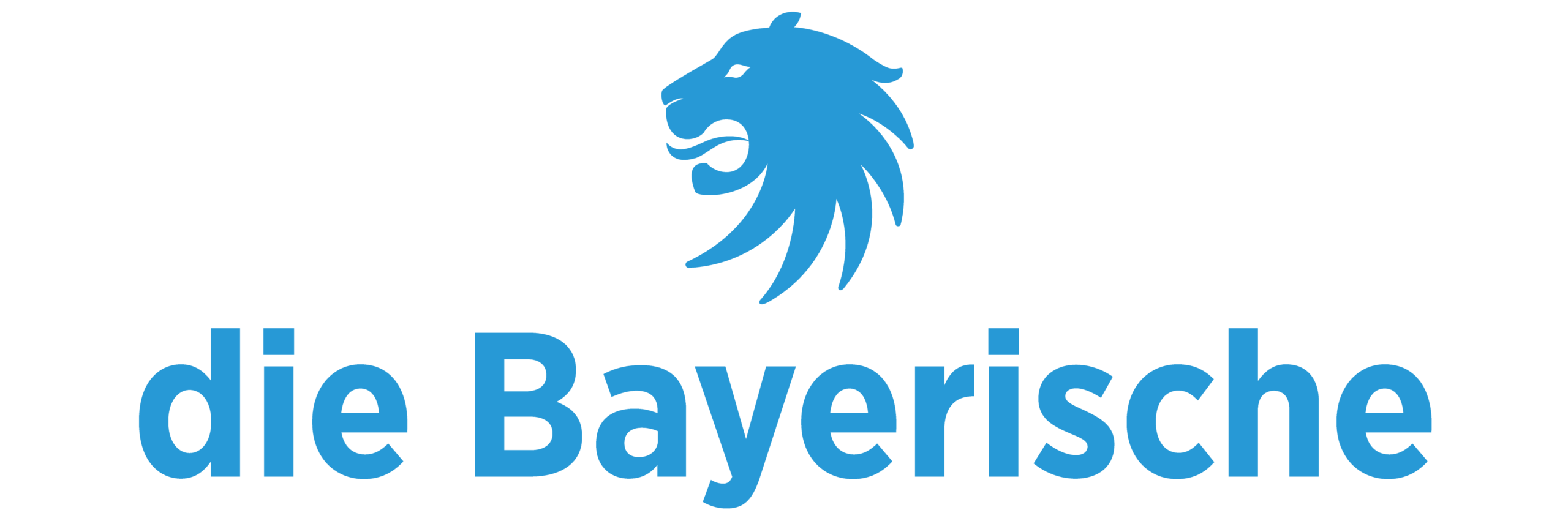BAY_Logo+ohne+Claim_BG_hoch